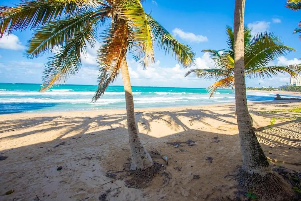 Condado Beach Organic Jewel King Size San Juan 0*,