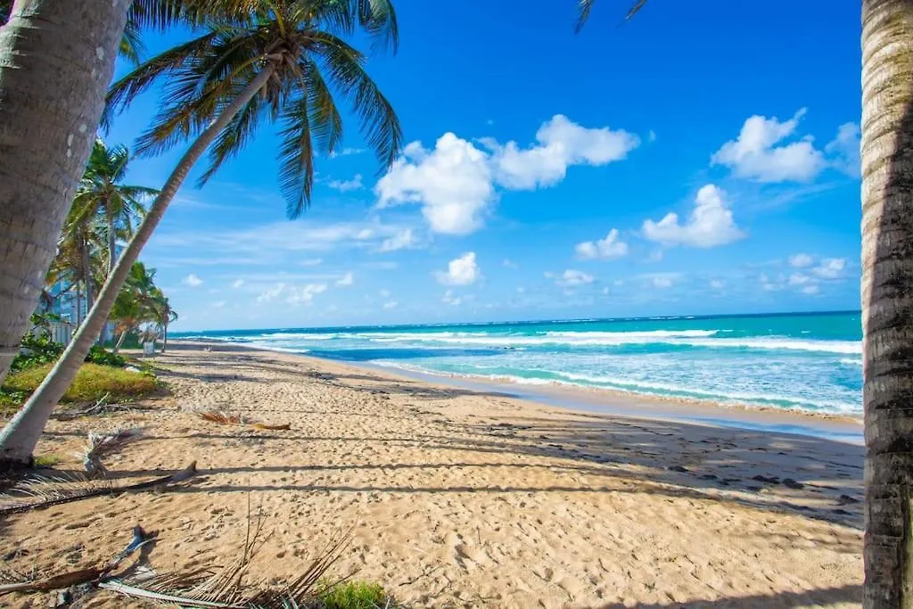 Condado Beach Organic Jewel King Size San Juan 0*,  Porto Rico