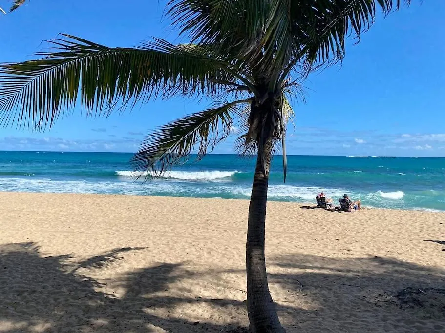 Condado Beach Organic Jewel King Size San Juan Appartement